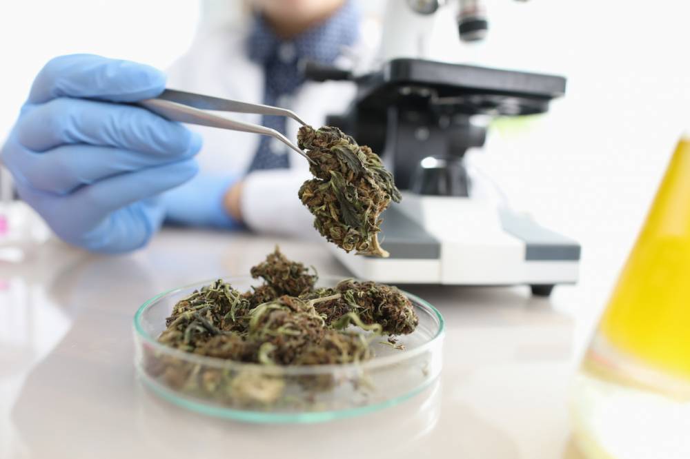 acheter CBD en ligne confiance
